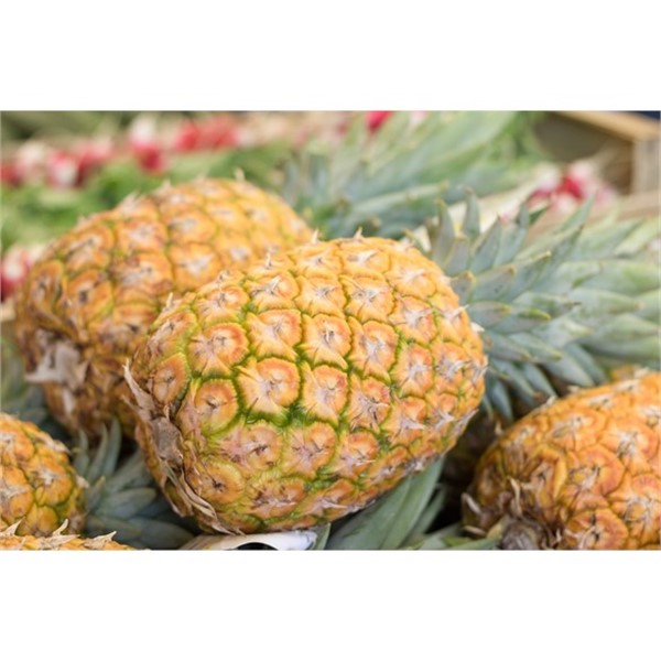 Photo de Ananas