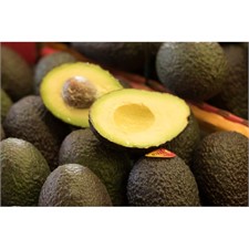 Photo de Avocat